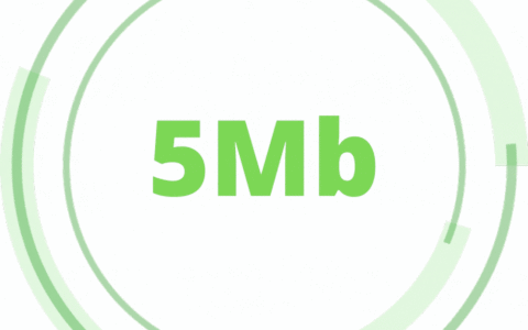 Internet Residencial 5Mb